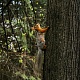 Номинация - Природа Родного края. Луиза Вагапова. Вверх